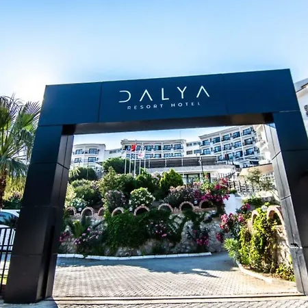 Dalya Aqua & 4* דטקה