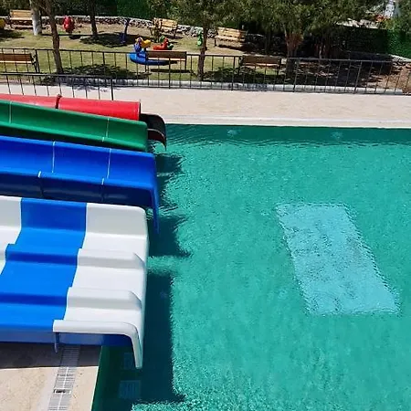 Dalya Aqua & דטקה