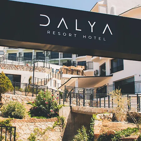 Dalya Aqua &